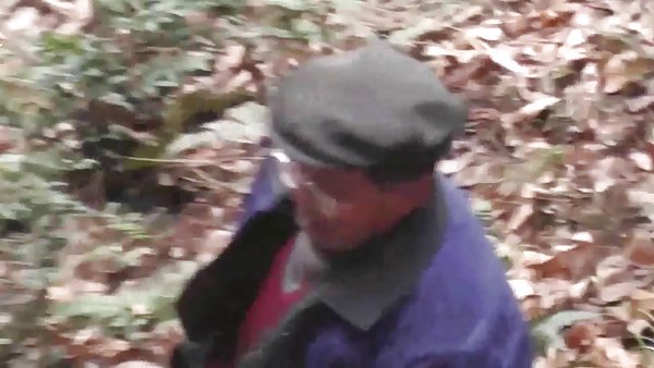 广泛的臀部和屁股操林同性恋议程信